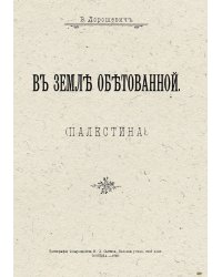 В земле обетованной. Палестина