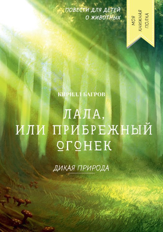 Лала, или прибрежный огонек Обложка книги «Лала, или прибрежный огонек» — К. Багров, ISBN 9785521750276