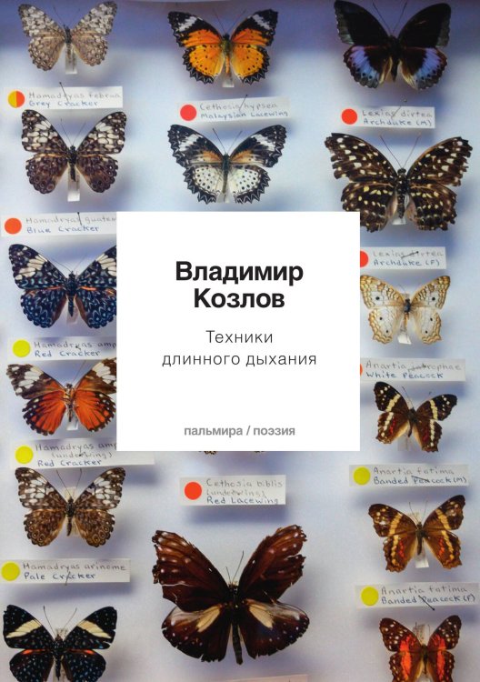 Обложка книги «Техники длинного дыхания» — Владимир Козлов, ISBN 9785517073549