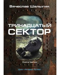 Тринадцатый сектор