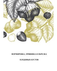 Формировка, прививка и обрезка плодовых кустов