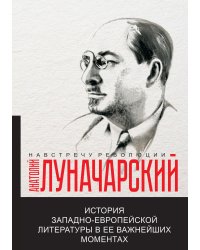 История западно-европейской литературы в ее важнейших моментах