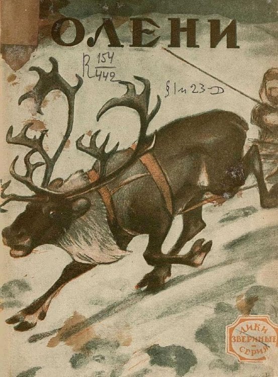 Обложка книги «Олени. Рассказ» — Нет автора, ISBN 9785521969494