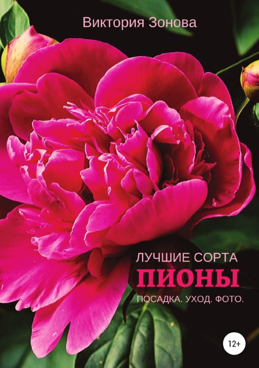 Обложка книги «Пионы. Лучшие сорта» — Виктория Зонова, ISBN 9785532932340