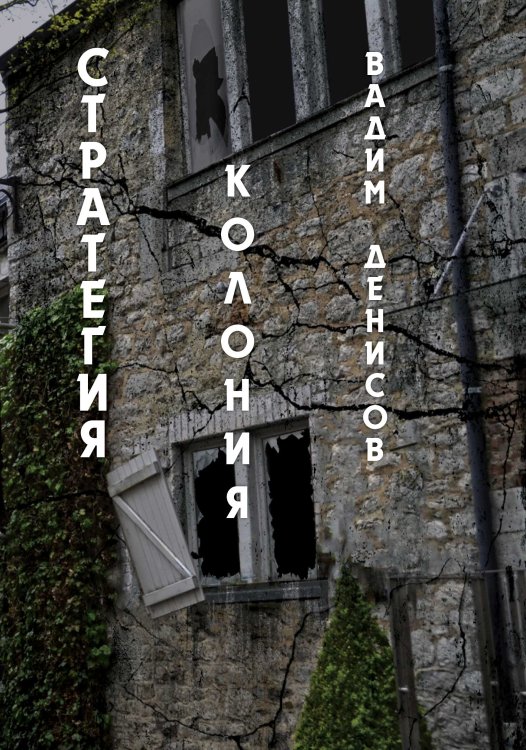 Обложка книги «Стратегия. Колония» — В. Денисов, ISBN 9785521736607