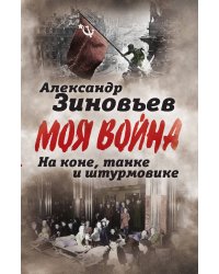 На коне на танке и штурмовике