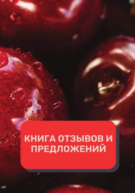 Обложка книги «Книга отзывов и предложений (Универсальная)» — автора нет, ISBN 9785521891481