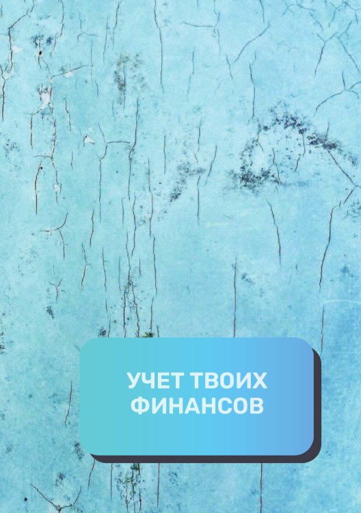 Обложка книги «Учет твоих финансов» — автора нет, ISBN 9785521892310