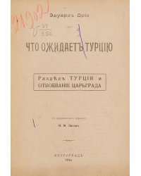 Что ожидает Турцию. Раздел Турции и отвоевание Царьграда