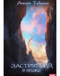 Застрявший. Книга 3. Застрявший в Кишке