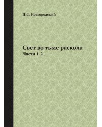 Свет во тьме раскола