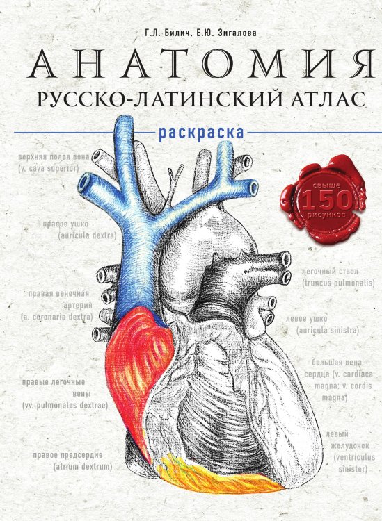 Анатомия Анатомия