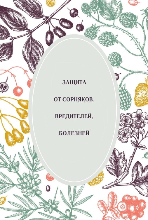 Обложка книги «Защита от сорняков, вредителей, болезней» — Нет автора, ISBN 9785517133588
