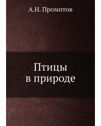 Птицы в природе