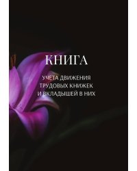 Книга учета трудовых книжек и вкладыщей к ним