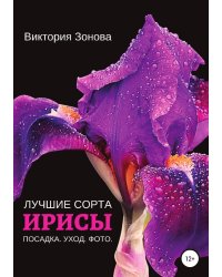 Ирисы. Лучшие сорта