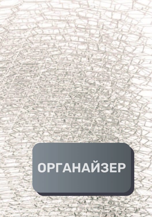 Обложка книги «Деловой органайзер» — автора нет, ISBN 9785521893911
