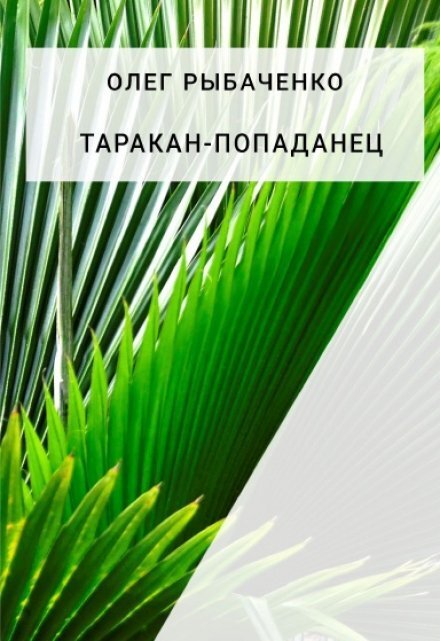 Обложка книги «Таракан-попаданец» — Олег Рыбаченко, ISBN 9785524060662