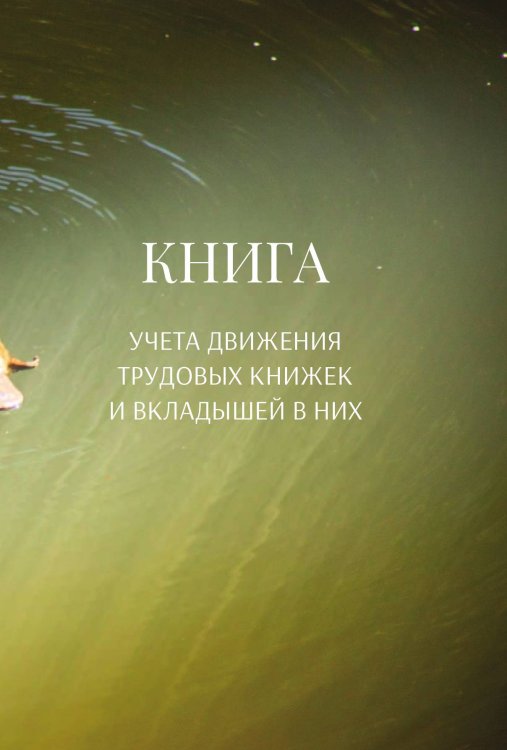Обложка книги «Книга учета трудовых книжек и вкладыщей к ним» — автора нет, ISBN 9785521888498