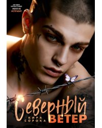 Северный ветер