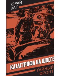 Катастрофа на шоссе