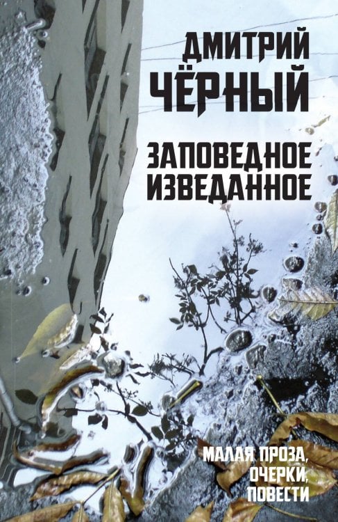 Обложка книги «Заповедное изведанное» — Чёрный Дмитрий Владимирович, ISBN 9785907255432