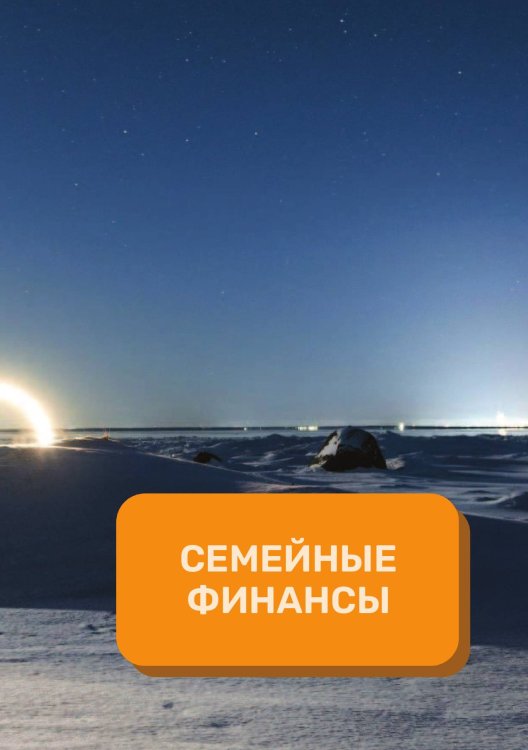 Обложка книги «Семейный финансы на год» — автора нет, ISBN 9785521891054