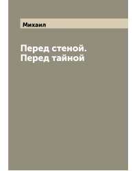 Перед стеной. Перед тайной