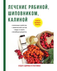 Лечение рябиной, шиповником, калиной