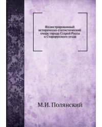 Иллюстрированный историческо-статистический очерк города Старой Руссы и Старорусского уезда