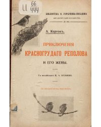 Приключения красногрудого реполова и его жены