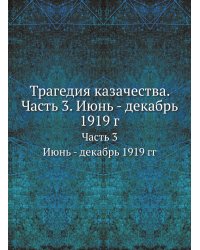 Трагедия казачества. Часть 3. Июнь - декабрь 1919 г.