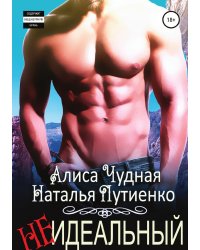 (Не)идеальный