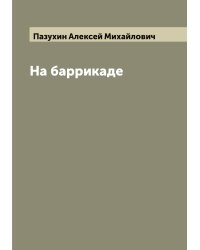 На баррикаде