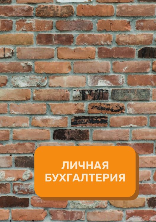 Обложка книги «Личные финансы на год» — автора нет, ISBN 9785521891306