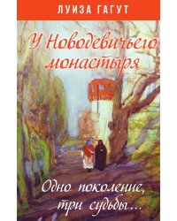 У новодевичьего монастыря