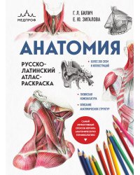 Анатомия: русско-латинский атлас-раскраска (новое оформление, новый формат)