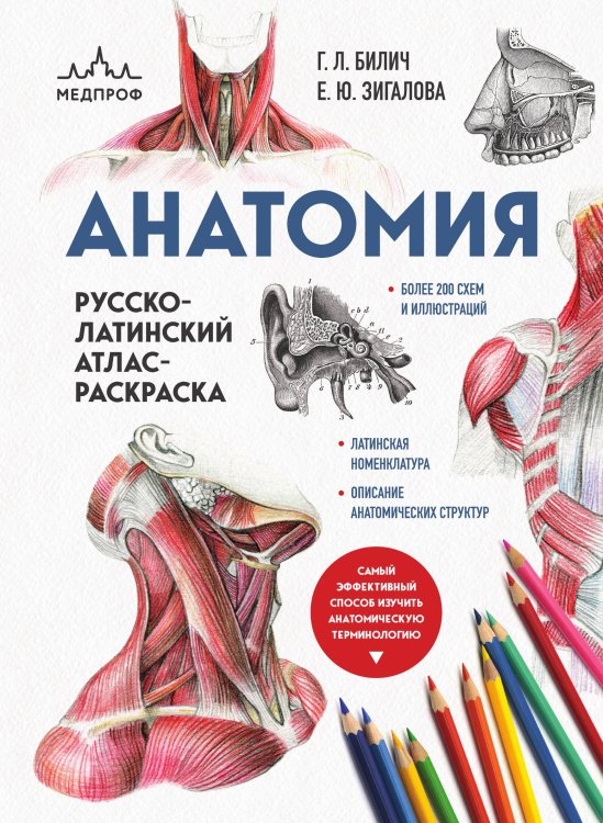 Обложка книги «Анатомия: русско-латинский атлас-раскраска (новое оформление, новый формат)» — Г. Л. Билич; Е. Ю. Зигалова, ISBN 9785042242687
