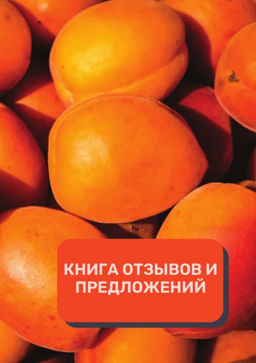 Обложка книги «Книга отзывов и предложений (Универсальная)» — автора нет, ISBN 9785521891689
