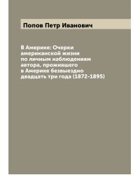 В Америке: Очерки американской жизни по личным наблюдениям автора, прожившего в Америке безвыездно двадцать три года (1872-1895)