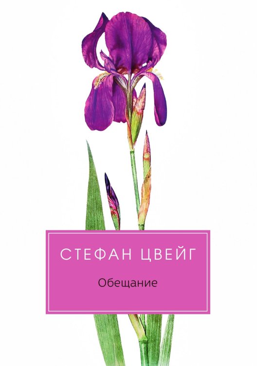 Обложка книги «Обещание» — Стефан Цвейг, ISBN 9785524046185