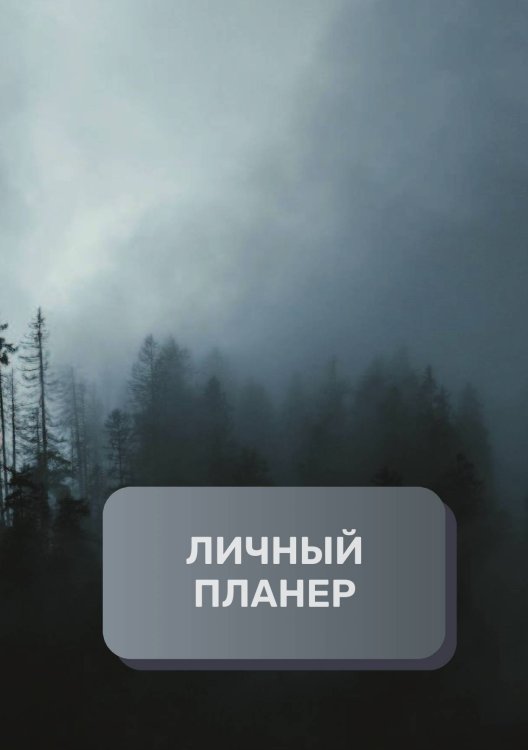 Обложка книги «Линчый планер (современный)» — автора нет, ISBN 9785521894628