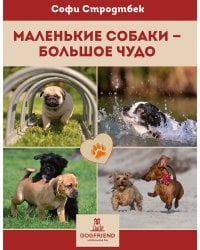 Маленькие собаки - большое чудо