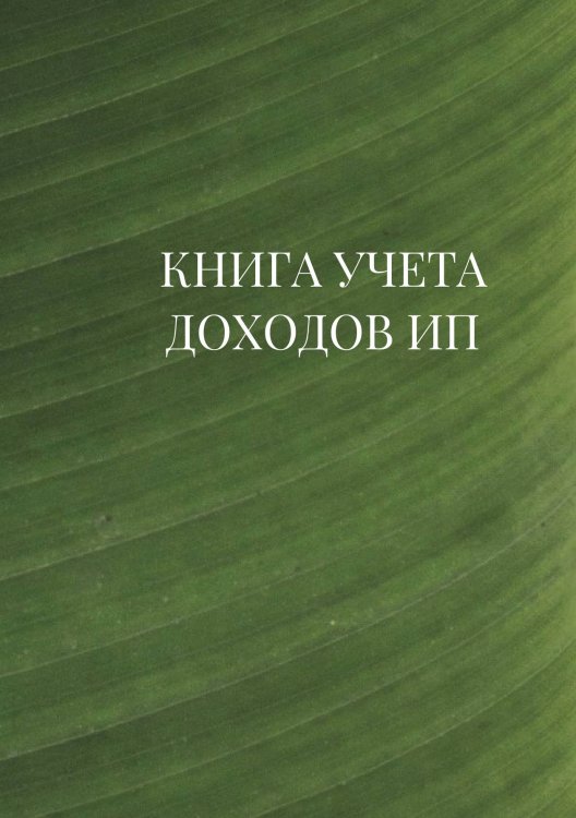 Книга учета доходов для ИП на патенте