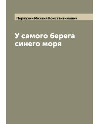 У самого берега синего моря