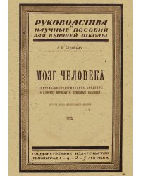 Мозг человека