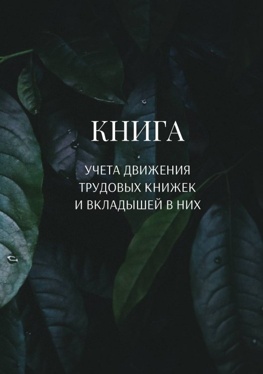 Обложка книги «Книга учета трудовых книжек и вкладыщей к ним» — автора нет, ISBN 9785521887033