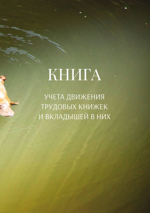 Обложка книги «Книга учета трудовых книжек и вкладыщей к ним» — автора нет, ISBN 9785521887835