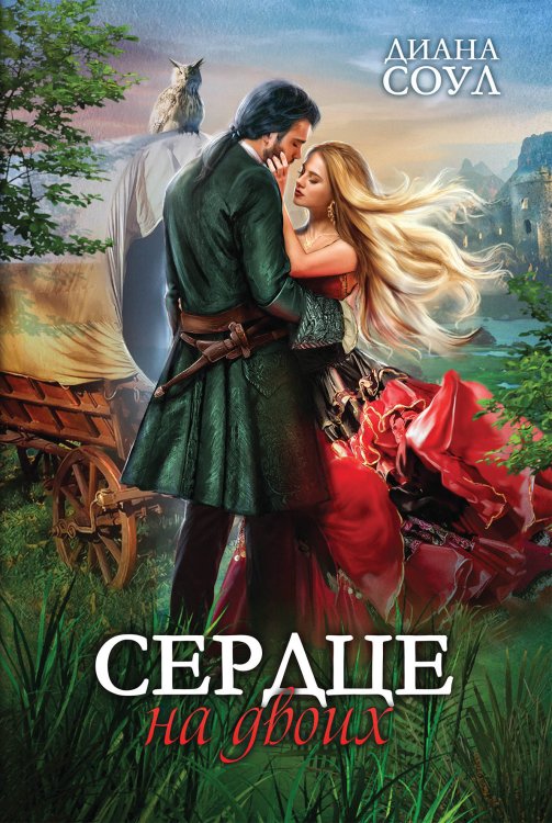 Обложка книги «Сердце на двоих» — Диана Соул, ISBN 9785521923410