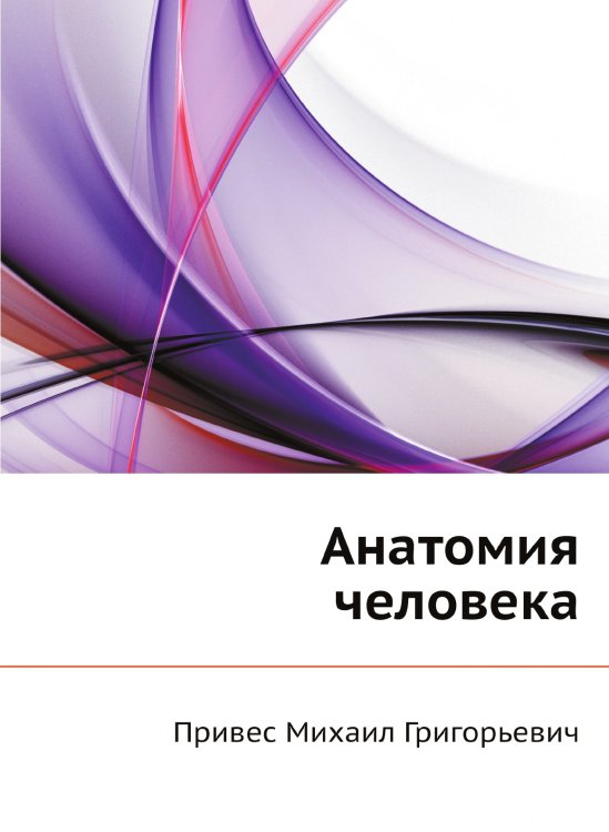 Анатомия человека